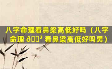 八字命理看鼻梁高低好吗（八字命理 🐳 看鼻梁高低好吗男）
